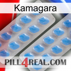 Kamagara 23